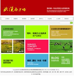 定制網站建設與企業營銷策劃的融合之道 以武漢南方略與騰飛立仁為例